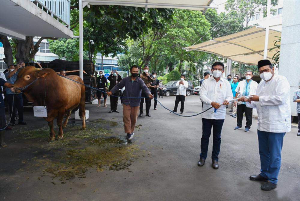 Dirjen SDPPI Ismail menerima hewan kurban dari Menteri Komunikasi dan Informatika, Jum'at (08/07/2022)
