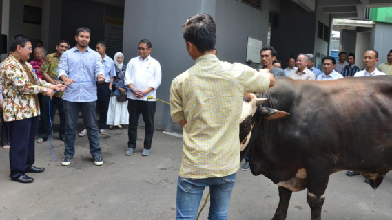 Ilustrasi: Penyerahan Hewan Qurban di lingkungan Kemkominfo secara simbolis dari Menteri Kominfo kepada Ketua Panitia Qurban Sesditjen SDPPI Sadjan